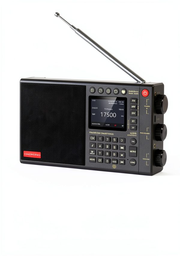 CHOYONG Internet Radio LC90 Portable-1