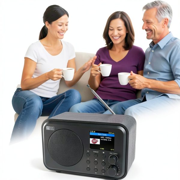 Ocean Digital WR-336M Internet Radio-4