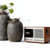 Revo SuperConnect Walnut Internet Radio-10