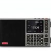 LC90 Mini Internet Radio CHOYONG Portable-3