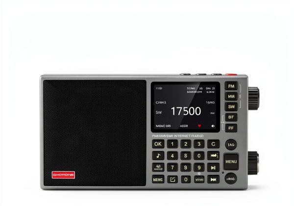 LC90 Mini Internet Radio CHOYONG Portable-3