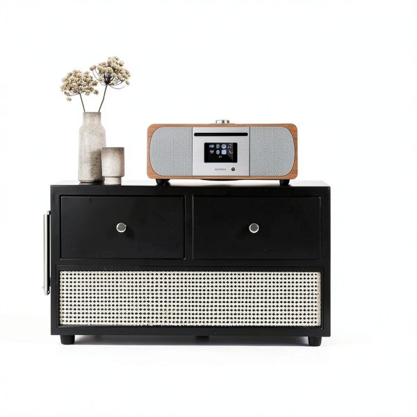 LEMEGA Internet Radio with CD Player-1