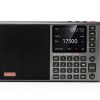 LC90 Mini Internet Radio CHOYONG Portable-1