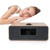 LEMEGA Internet Radio Player MS5-6