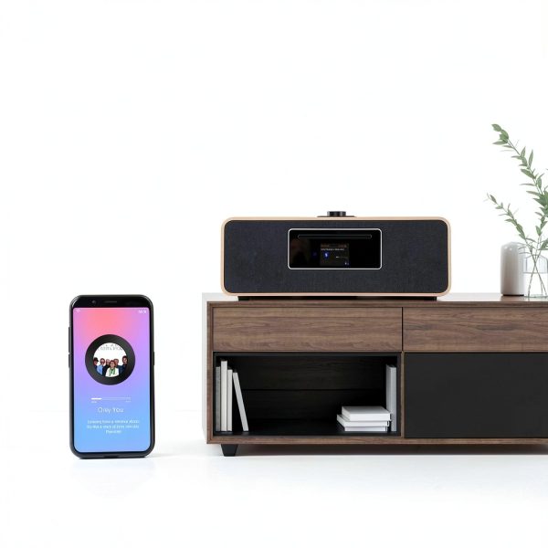 LEMEGA Internet Radio Player System-3