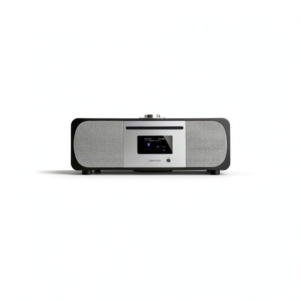 LEMEGA Premium Internet Radio System-3