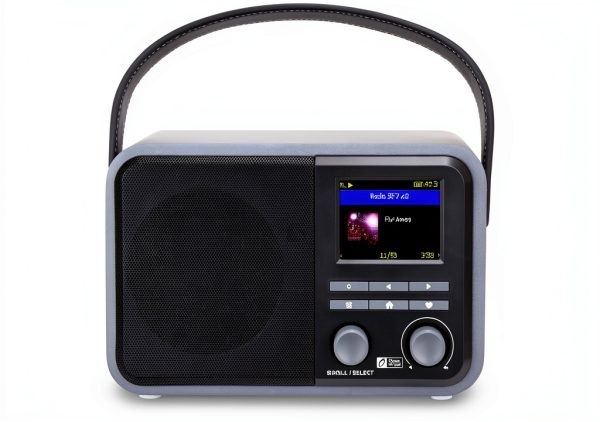 Ocean Digital WR330 Internet WiFi FM Radio-1