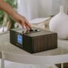 Sangean Internet Radio with Bluetooth and USB-5