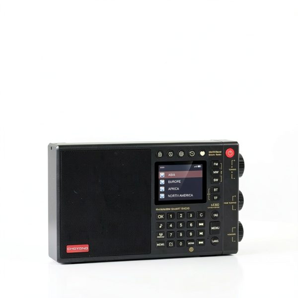 CHOYONG Internet Radio LC90 Portable-2