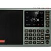 LC90 Mini Internet Radio CHOYONG Portable-0