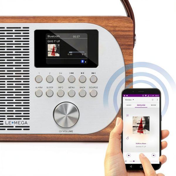 LEMEGA Smart Internet Radio Player-3