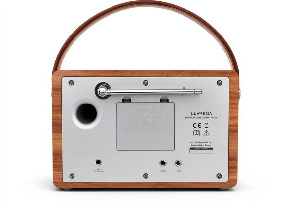 LEMEGA Smart Internet Radio Player-5