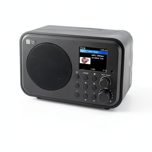 Ocean Digital WR-336M Internet Radio-2