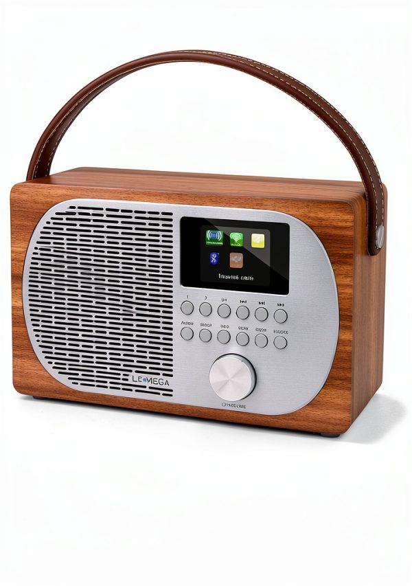 LEMEGA Smart Internet Radio Player-7