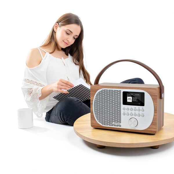 LEMEGA Smart Internet Radio Player-2